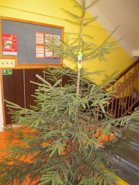 DSCN9672.JPG