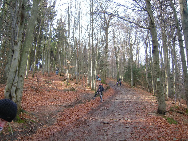 DSCN8809.JPG