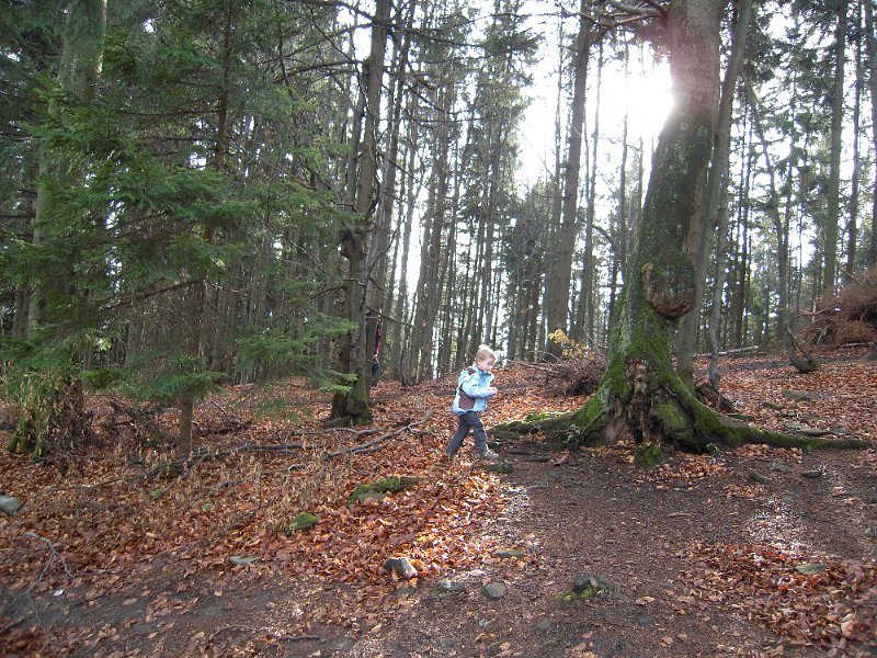 DSCN8810.JPG