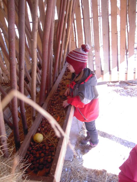 DSCN9187.JPG
