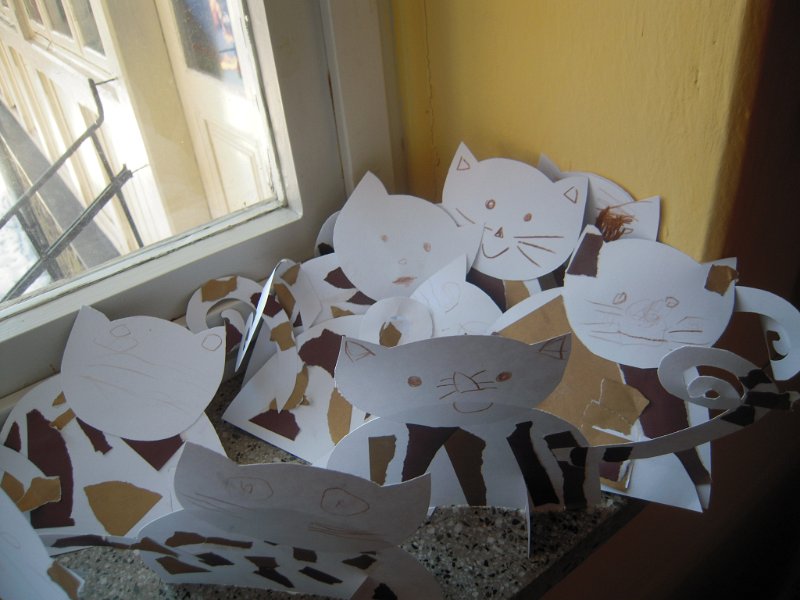 DSCN7428.JPG
